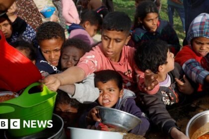 Gaza food prices spike and shortages loom after Israel halts aid