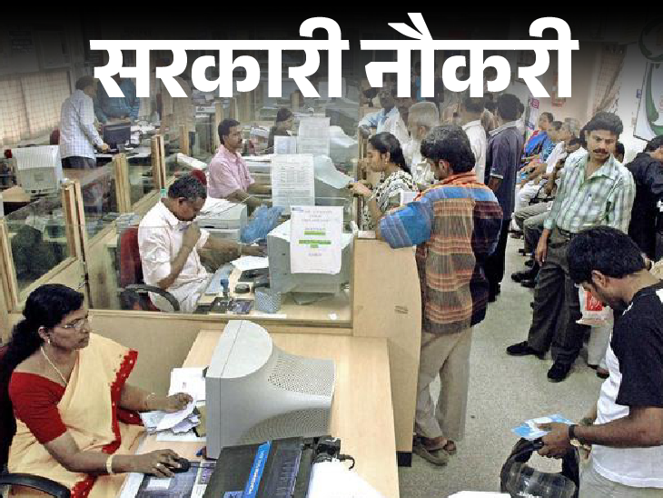 Exim Bank recruits graduates and engineers; age limit is 40 years, salary is more than 1 lakh | सरकारी नौकरी: एग्जिम बैंक में ग्रेजुएट्स से लेकर इंजीनियर के लिए भर्ती; एज लिमिट 40 साल, सैलरी 1 लाख से ज्यादा