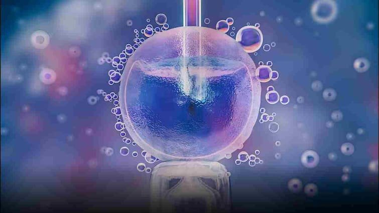 World’s first child born from fully automated IVF system know details here