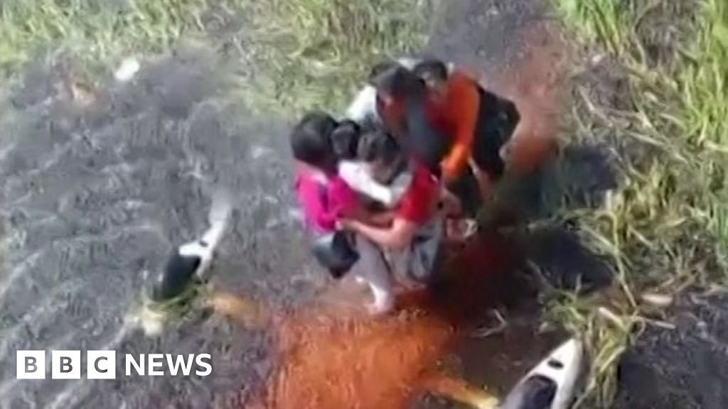 Five people survive 36 hours in alligator-infested swamp after plane crash