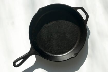Non-Toxic Lodge Cast Iron Skillet Egg Pan Deal
